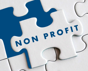 Not-for-Profit Portal (NFP)